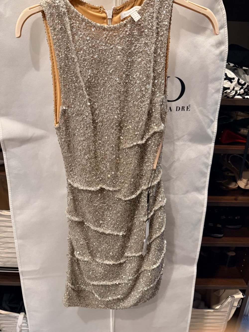 NWT Rachel Gilbert Charlotte Silver Embellished Mini Dress (Sold Out)